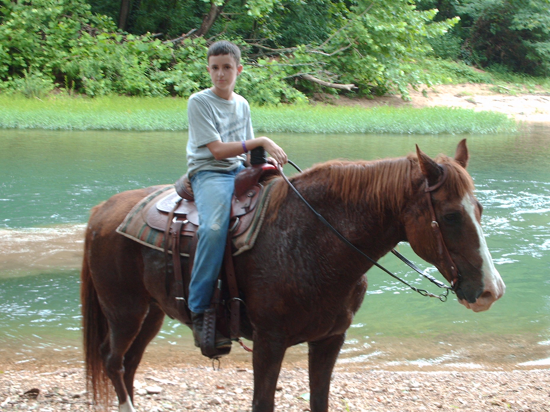 RED Rowdy Drifter 2010 AQHA Quarter Pony